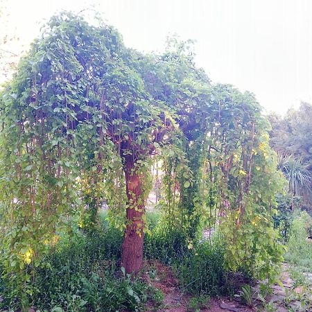 Vila Casa Con Jardin Y Aparcamiento En Viznar, Junto A Granada Exteriér fotografie