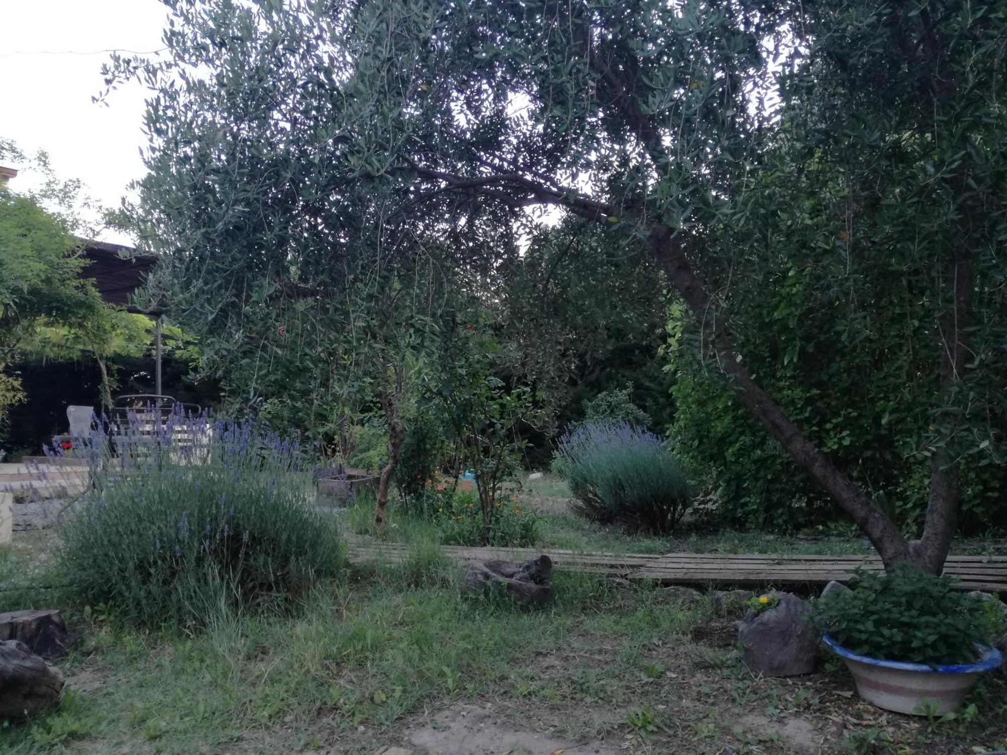 Vila Casa Con Jardin Y Aparcamiento En Viznar, Junto A Granada Exteriér fotografie