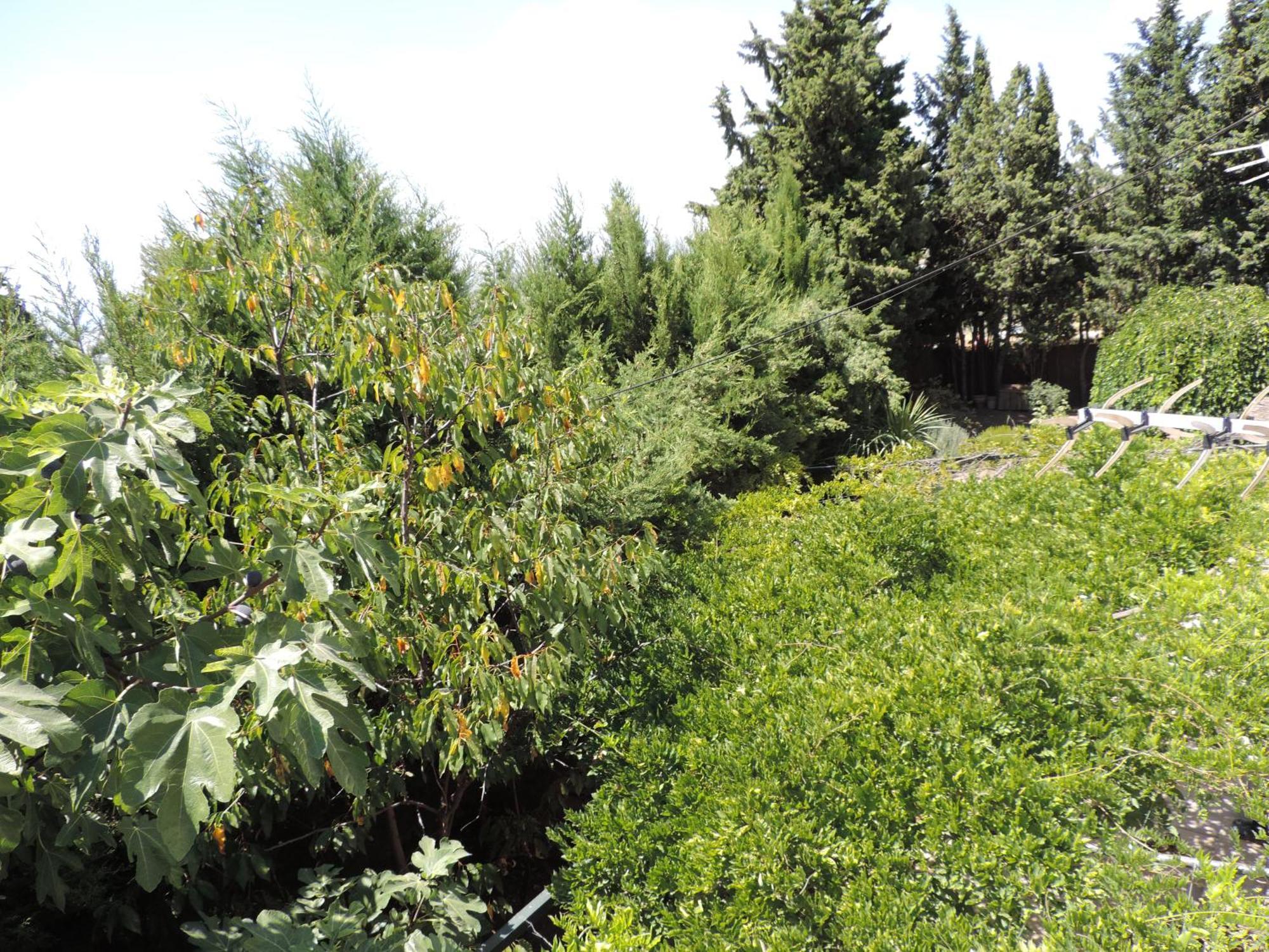Vila Casa Con Jardin Y Aparcamiento En Viznar, Junto A Granada Exteriér fotografie